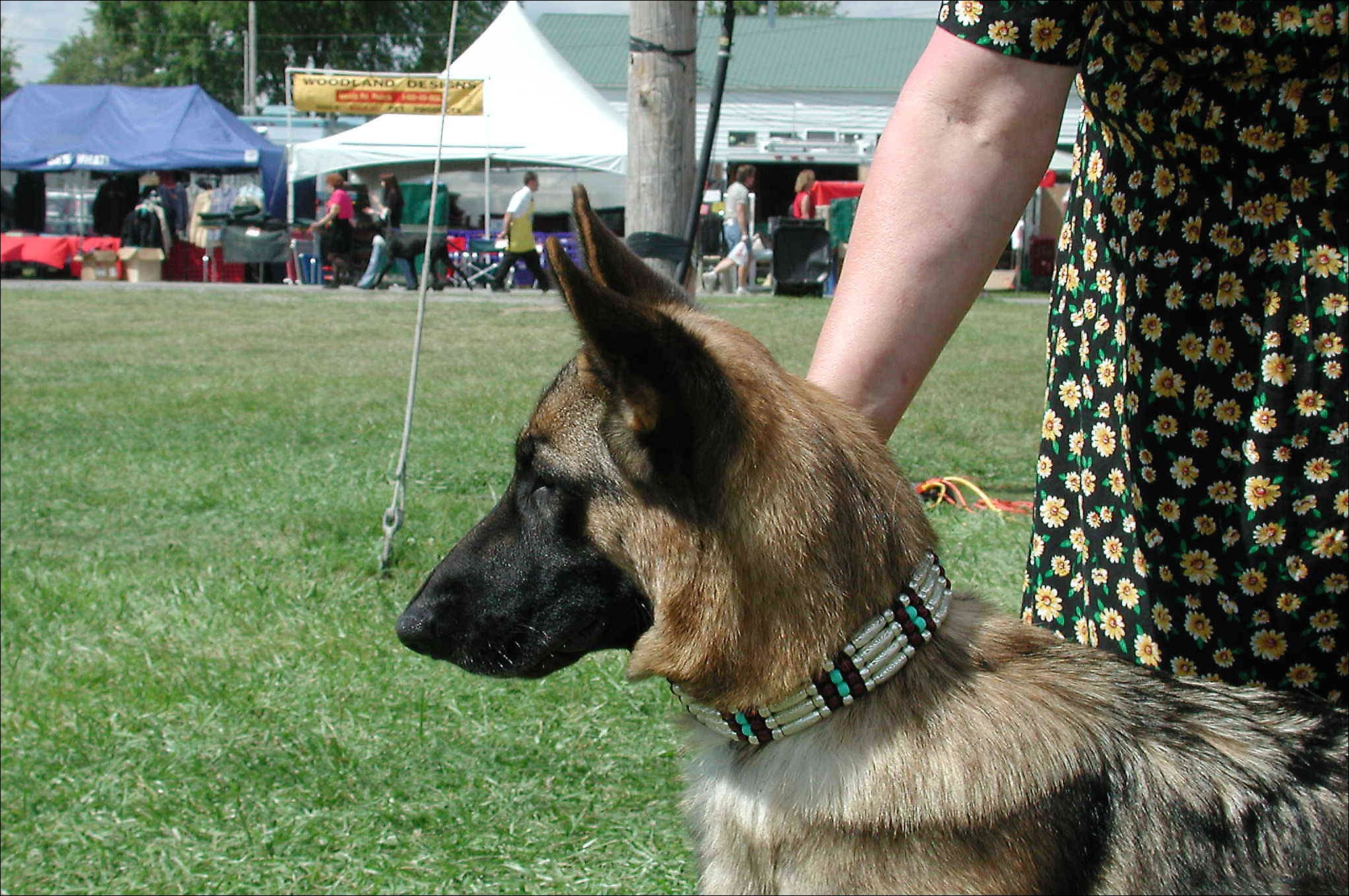 DSCN0023.jpg