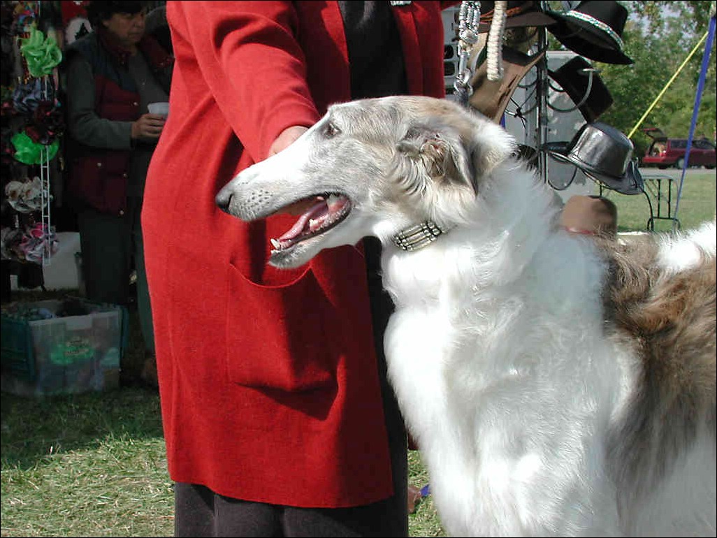 DSCN0372.jpg
