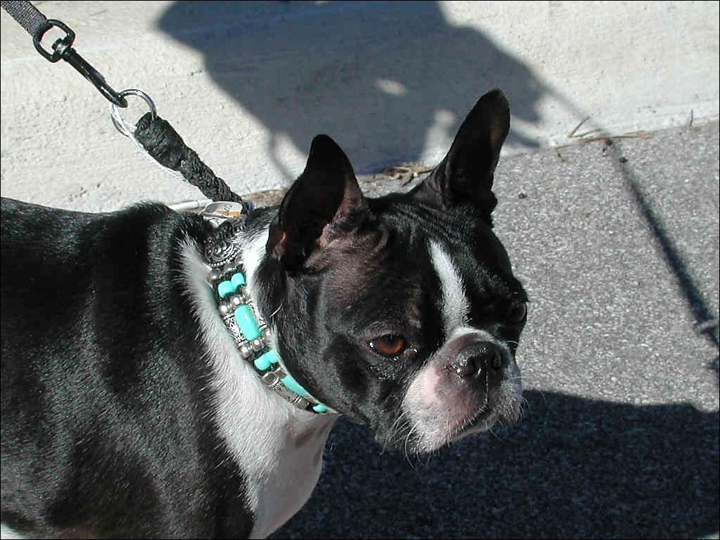DSCN1809.jpg