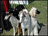 DSCN0369.jpg
